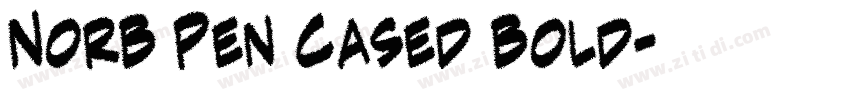 NorB Pen Cased Bold字体转换 NorB Pen Cased Bold字体转换